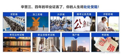 2025年北京檔案存放服務(wù)指南 升職貓全程跟進(jìn)，助力信息咨詢